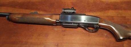 Pongo a la venta un Remington 7400 semiautomático en calibre 35 Whelen . Un calibre contundente según 12