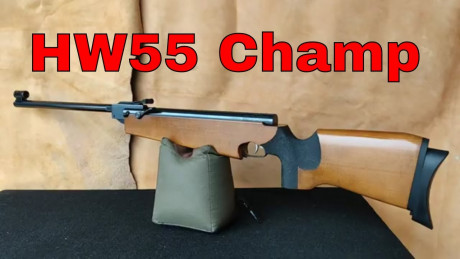 Hw55 en 350€ portes incluidos. 140