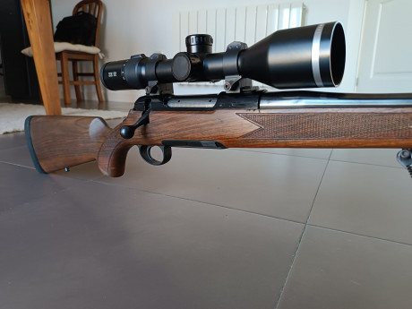 Buenas, vendo rifle Roessler Titan 6 de cerrojo, en calibre 7mm RM, con bases Warne. En buen estado de 02