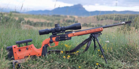 Acabo de vender otro rifle que no usaba y ahora quiero comprarme un rifle con chasis para prs y tiro y 61