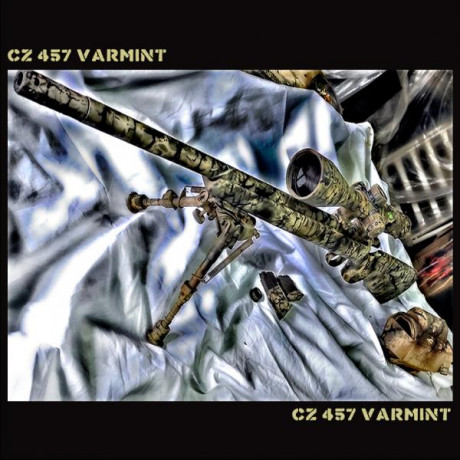 CZ 457 VARMINT + VISOR
22 LR
900 Euros

gatillo regulable
anillas regulables MOAS
Cantonera adicional
Cargador 01
