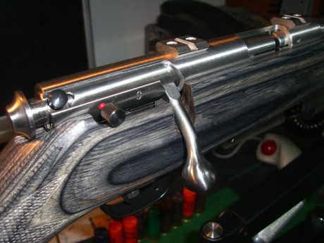 hola a todos pues estoy pensando comprarme una carabina del 22 para tirar unos tiros en la galeria y he 101