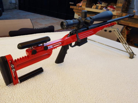 Remington 700 calibre 308 con visor sightron slllss 10,50x60 y culata BRITANIA rail chasis ,cargador 5 02