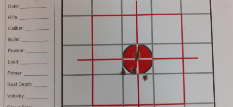 Buenos días foro, me estoy iniciando en este mundo y quería pediros consejo sobre algun fusil ar15 del 70