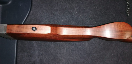 Vendo  rifle CZ 557 Varmint  en calibre  .308 Winchester .
Tiene menos de 200 disparos y está en perfecto 22