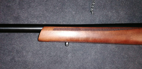 Vendo  rifle CZ 557 Varmint  en calibre  .308 Winchester .
Tiene menos de 200 disparos y está en perfecto 21