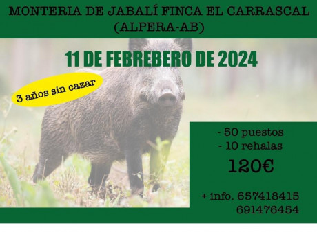 28 de Enero, en Alto Tajo 140