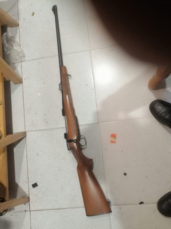 En venta rifle CZ del 375HH.
400€+envío
El arma está en León 00