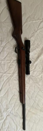 Vendo carabina CZ 452 Varmint Calibre 22lr, de cerrojo. 
Visor Shilba 1,5-4,5x24. monturas fijas .
En 01