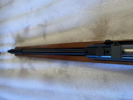 Vendo Diana 430 Stutzen en calibre 5,5
Heredera de la Diana 46 stutzen a la que sustituyó ya no se fabrica, 82