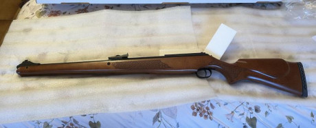 Vendo Diana 430 Stutzen en calibre 5,5
Heredera de la Diana 46 stutzen a la que sustituyó ya no se fabrica, 101