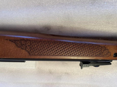 Vendo Diana 430 Stutzen en calibre 5,5
Heredera de la Diana 46 stutzen a la que sustituyó ya no se fabrica, 100