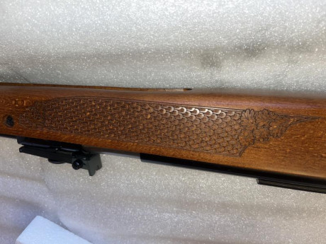 Vendo Diana 430 Stutzen en calibre 5,5
Heredera de la Diana 46 stutzen a la que sustituyó ya no se fabrica, 121