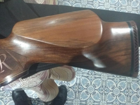 VENDO ESTA CARABINA , ESTA EN PERFECTO ESTADO CON FUNDA GAMO ACOLCHADA, PARA COMPRAR OTRA SUPERIOR.
850 01