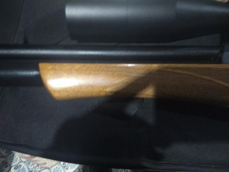 VENDO ESTA CARABINA , ESTA EN PERFECTO ESTADO CON FUNDA GAMO ACOLCHADA, PARA COMPRAR OTRA SUPERIOR.
850 00