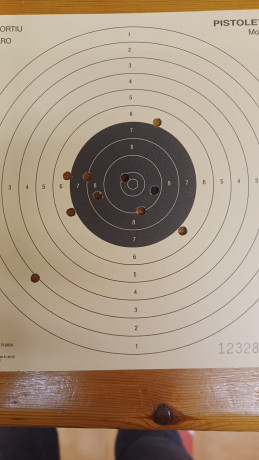 Hola, hoy por fin he empezado un curso de 6 semanas (2h semana) sobre Pistola Aire 10m y quiero poner 102