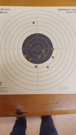 Hola, hoy por fin he empezado un curso de 6 semanas (2h semana) sobre Pistola Aire 10m y quiero poner 110