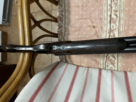 Buenas, mi hijo vende esta escopeta, muy ligera, 2,600 Kg, gama alta de Darne y en buen estado, calibre 12