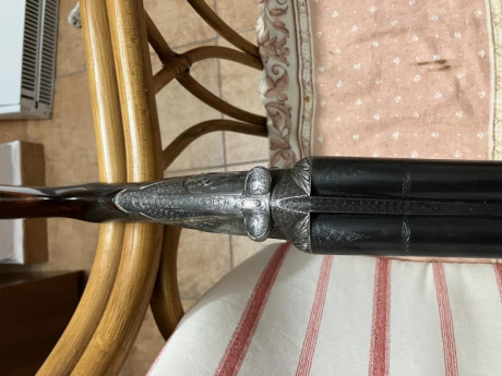 Buenas, mi hijo vende esta escopeta, muy ligera, 2,600 Kg, gama alta de Darne y en buen estado, calibre 10