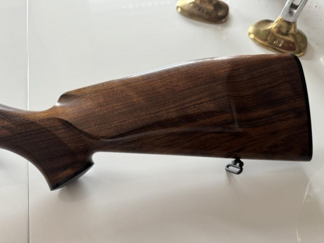 Se vende Blaser 93 nuevo, solo estrenado con dos cargadores y estuche a estrenar.

 Todo 1950 € . Se compró 00