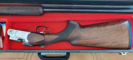 Se vende  Beretta 682  (bascula blanca)  Sporting de 75cm  con choques originales beretta. Desde 1* a 01