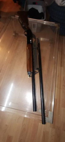 Hola buenas,

Se vende benelli s90  71cm mas un cañon de becada(mas corto)60cm, tiene sus años pero en 02