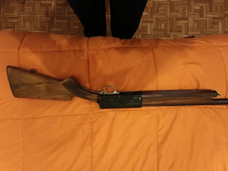 Hola estoy buscando una escopeta Browning o FN Auto 5 en buen estado en calibre 12 o 20. Si es de cañón 70