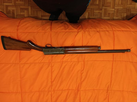 Buenas.
Pongo a la venta estas dos Browning FN A5 en cal. 20 y 12.
La del 20 está muy bien cuidada y apenas 30