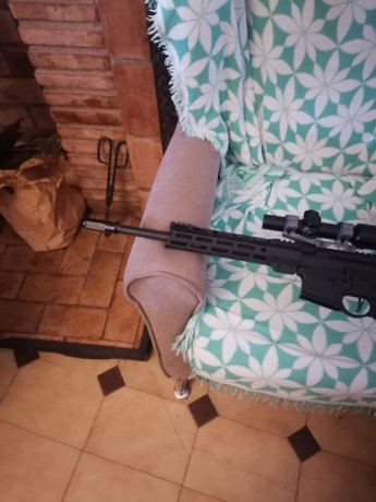 Se vende doublaster modelo star-15 visor burris rt-6 1,5-6x24 monturas Warner 20 moa dos cargadores de 02