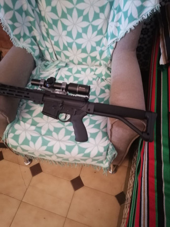 Se vende doublaster modelo star-15 visor burris rt-6 1,5-6x24 monturas Warner 20 moa dos cargadores de 01