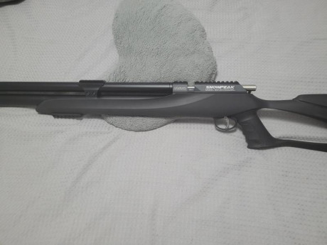 Vendo mi SNOWPEAK 7.62 a FULL POWELL Con 5 meses , silenciador y envio incluido , superprecisa y .... 01