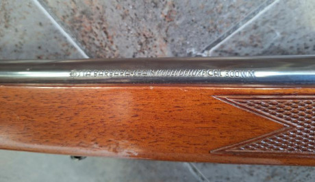 Se vende SANTA BARBARA 300 WM. 
700€. Esta en Madrid.
Un saludo 11