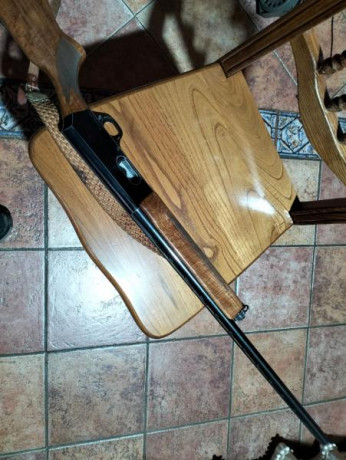 escopeta browning 2000 , en muy buen estado , funcionando perfectamente , el arma esta en Asturias y el 02