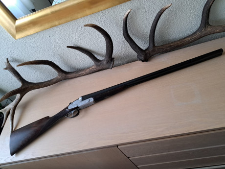 Por enfermedad de un familiar, titular del arma, se vende escopeta paralela AYA mod.53 del año 66. Cañón 02