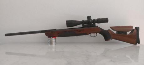 buenas, deciros que compito en hunting field target, con una Air Arms tx 200, que a día de hoy no me ha 11