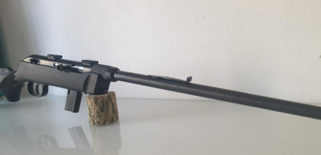 Savage 64 F Takedown carabina del 22 lr desmontable. 

 Un arma fácil de transportar y de manejar, con 01