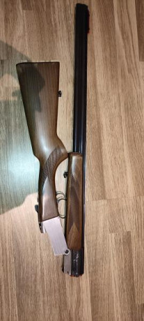 Vendo  escopeta INVESTARM calibre 410, puede disparar cartuchos magnum. 
En muy buen estado, ideal para 00