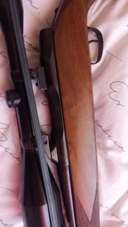 Se vende rifle Carl Gustaf 3000 calibre 222 remington con monturas apel y visor schmidt & bender 8x56 11