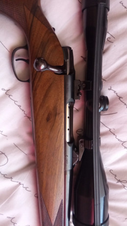 Se vende rifle Carl Gustaf 3000 calibre 222 remington con monturas apel y visor schmidt & bender 8x56 20