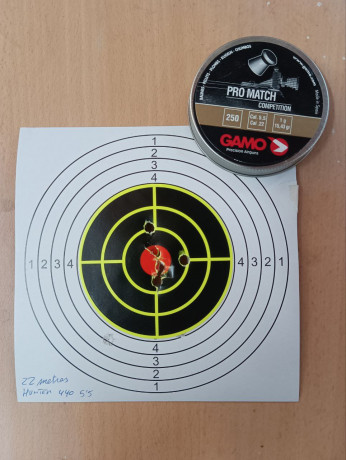 Muy buenas, estoy en proceso de afinar mi Gamo Hunter 440 en 5,5 sin ninguna pretensión más que mejorarla 00