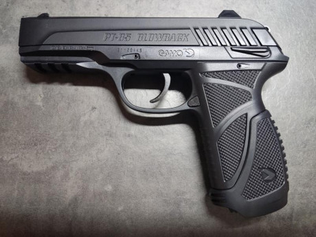 Vendo pistola de CO2 Gamo PT-85 BLOWBACK, prácticamente nueva, apenas 100 disparos.  La compré para practicar 01