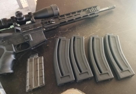 Chiappa M-Four pro gen3
--2 cargadores de 28 balas con poco huso.
--2 cargadores de 28 balas nuevos.
--1 11