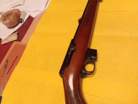 Vendo Brno 581 completamente nueva, nunca ha tenido interrupciones con cargador de cinco balas , calidad 02