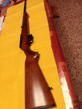 Vendo Brno 581 completamente nueva, nunca ha tenido interrupciones con cargador de cinco balas , calidad 01
