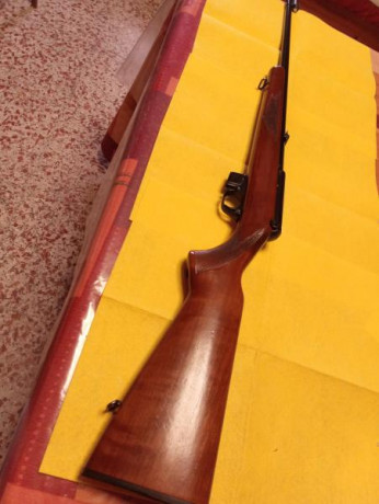 Vendo Brno 581 completamente nueva, nunca ha tenido interrupciones con cargador de cinco balas , calidad 00