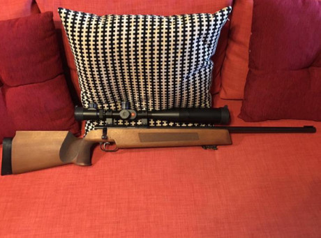 Un amigo mío vende una carabina monotiro para tiro de precisión de la prestigiosa marca alemana Anschutz 02