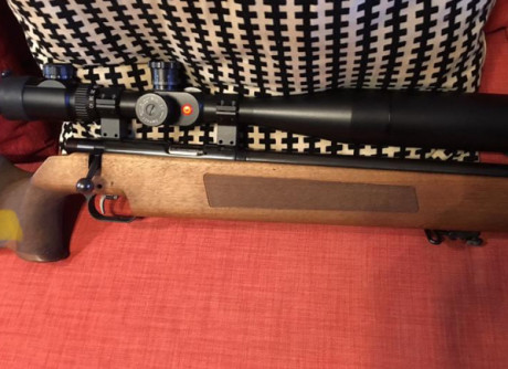 Un amigo mío vende una carabina monotiro para tiro de precisión de la prestigiosa marca alemana Anschutz 01