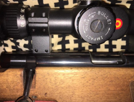 Un amigo mío vende una carabina monotiro para tiro de precisión de la prestigiosa marca alemana Anschutz 00
