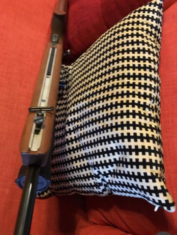 Un amigo mío vende una carabina monotiro para tiro de precisión de la prestigiosa marca alemana Anschutz 10