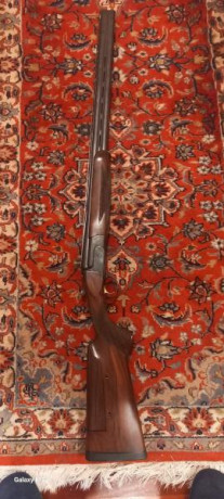 Perazzi modelo MX8 Trap calibre 12, longitud de cañón 75 cm , con chockes intercambiables, afrezco con 42